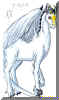 flash.jpg (80014 bytes)