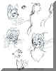 lykanthrisketches1.jpg (74515 bytes)
