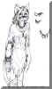 maelirosketch.jpg (56904 bytes)