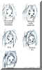 zapexpressions.jpg (43811 bytes)